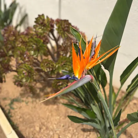 Montecristo, Clim, Piscine Privee, 300m. * Talasani