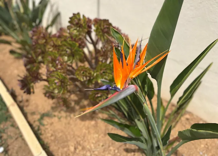 Montecristo, Clim, Piscine Privee, 300m. * Talasani